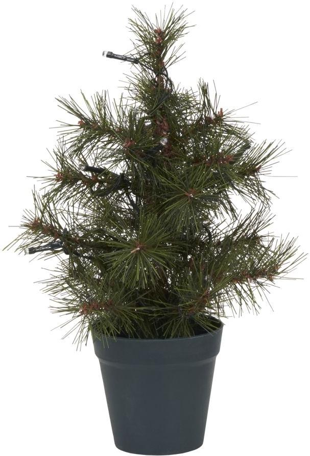 Pinus Juletræ Mørkegrøn - Perfekt til Julepynt!