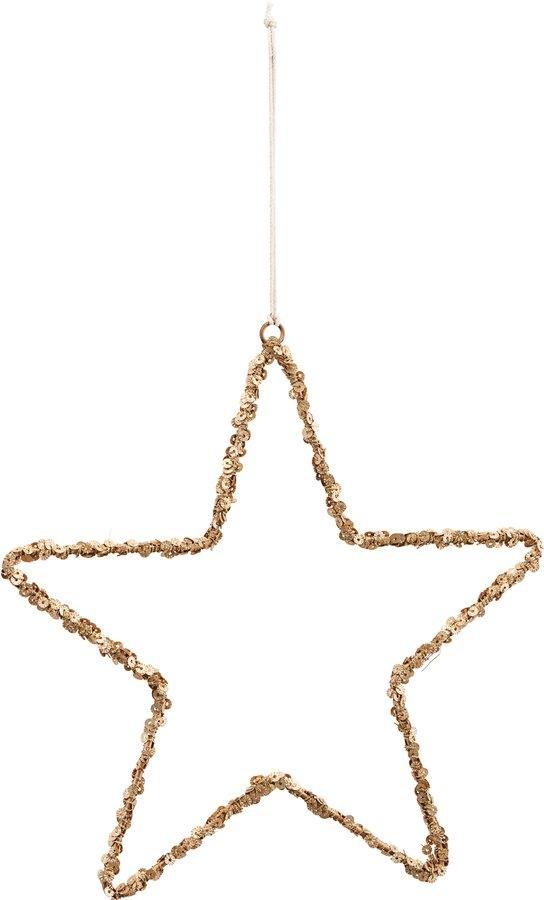 Star  Ornament  Natur  21