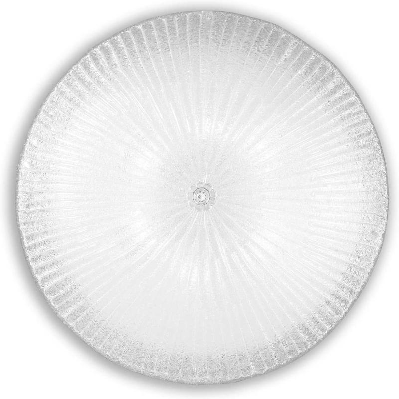 Elegant Shell Loftslampe i Gennemsigtigt Glas - Ø600mm