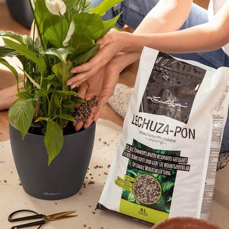 Lechuza Pon - Plantesubstrat til Blomsterkrukker