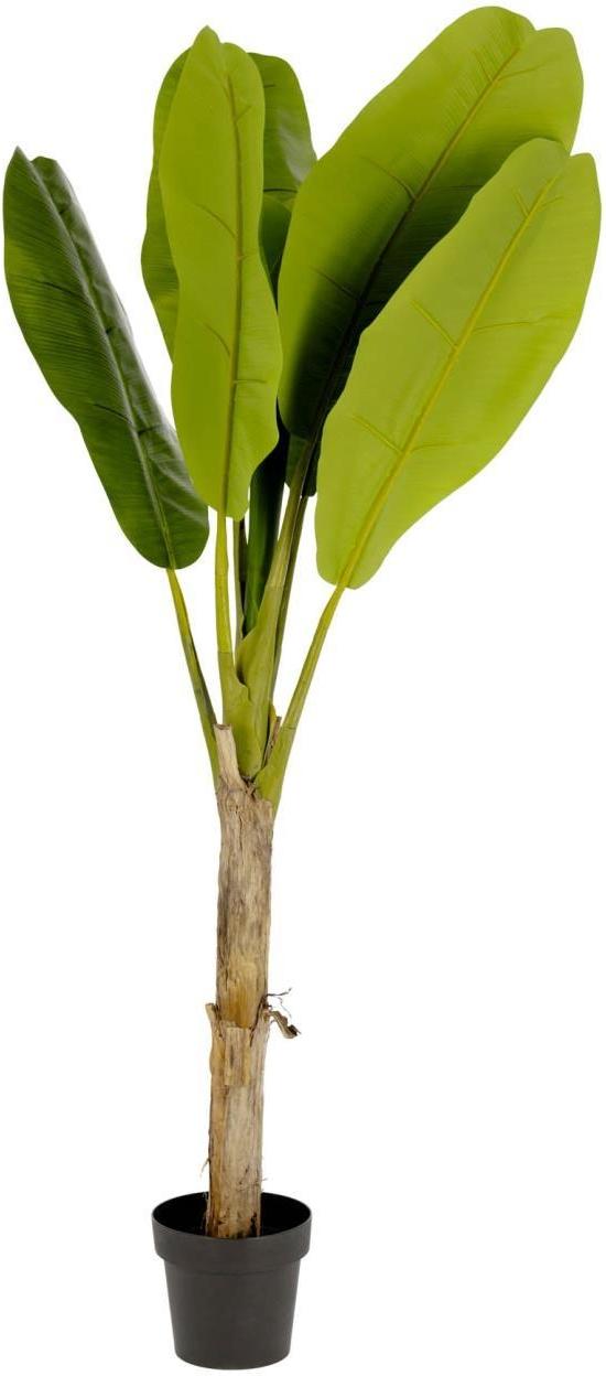 Banano  Kunstig Plante  Grøn Sort  H160x90x90