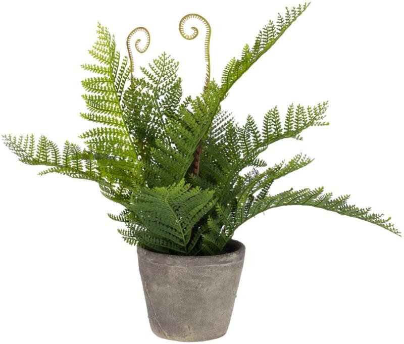 Filicopsida Kunstig Plante i Grøn og Grå - Moderne Dekorativ