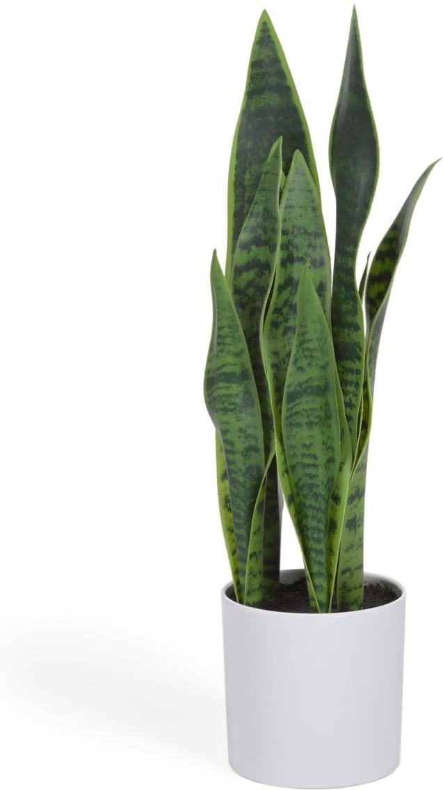 Kunstig Sansevieria Plante i Hvid - Elegant Dekoration