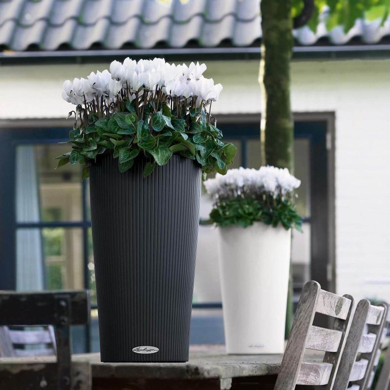 Lechuza Cilindro Color Udendørs Blomsterkrukke med Selvvanding