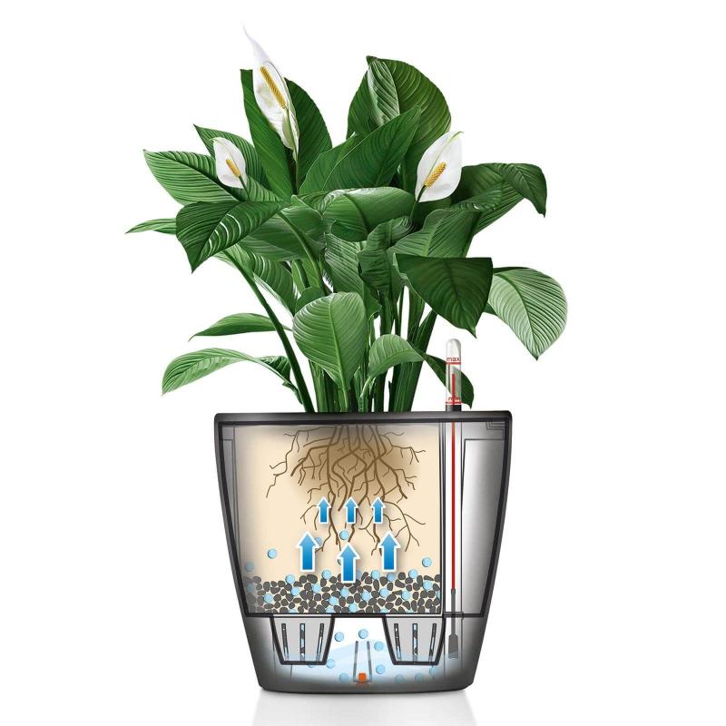 Lechuza Classico Premium Indendørs Blomsterkrukke - Charcoal