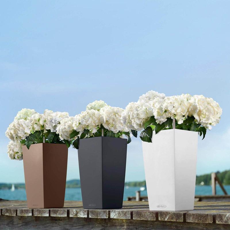 Lechuza Cubico Color Udendørs Blomsterkrukke - Hvid