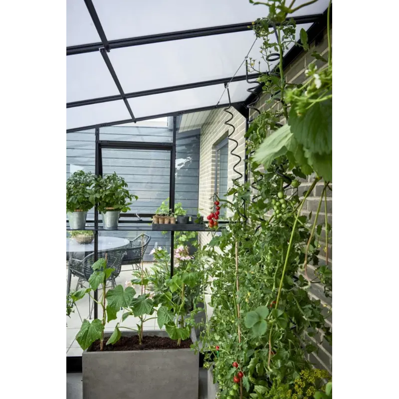 Halls Drivhus Qube Lean-to 612 Sort - Hærdet Glas