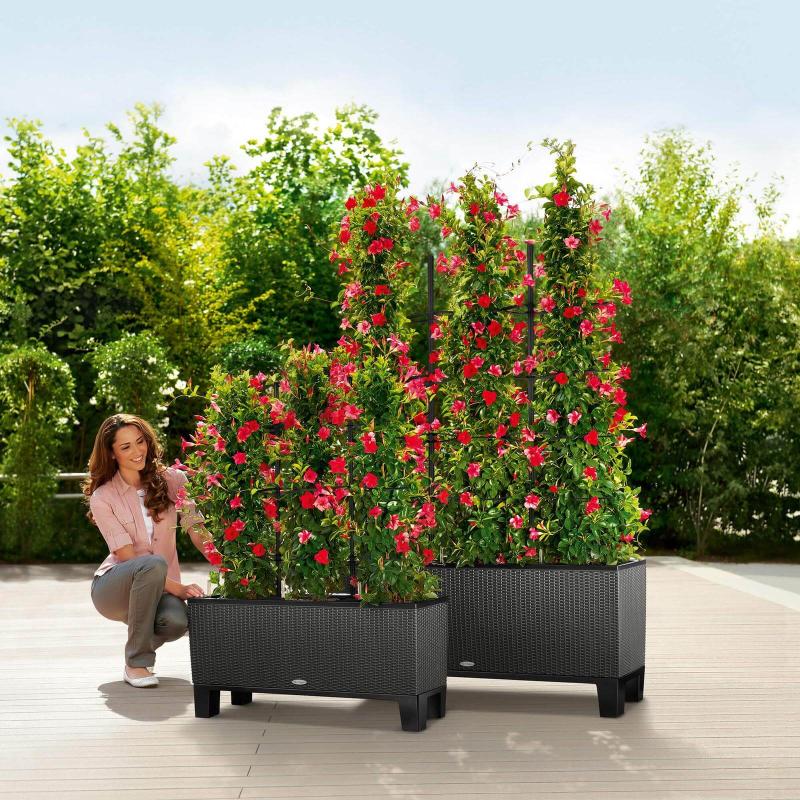 Lechuza Trio Cottage Udendørs Blomsterkrukke med Selvvanding