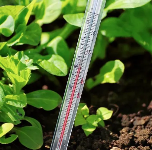 Jordtermometer til præcis måling af jordtemperatur