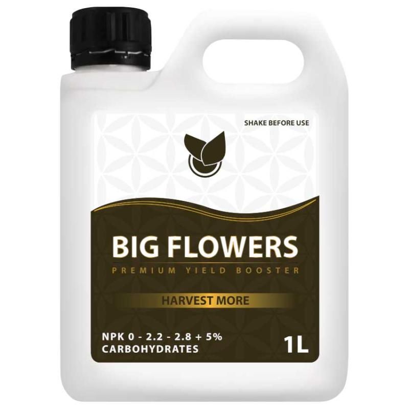 Big Flower Større   Flere Blomster