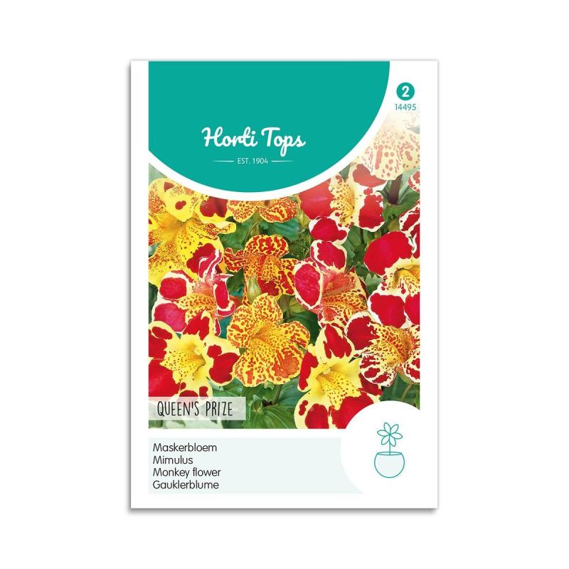 Abeblomst Frø  Quot Queen   Prize Quot  Horti Tops
