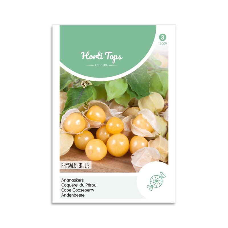 Ananaskirsebær Frø - Cape Gooseberry fra Horti Tops