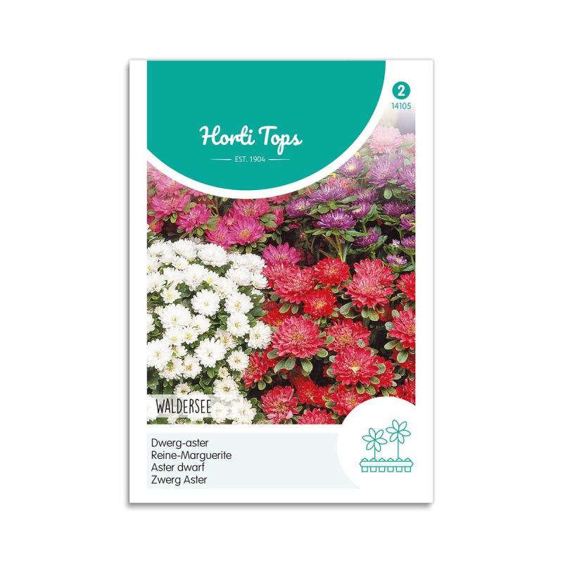 Asters Frø Mix  Quot Waldersee Quot  Horti Tops
