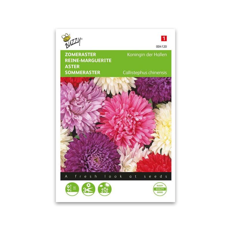 Asters Frø  Queen   The Market Mix