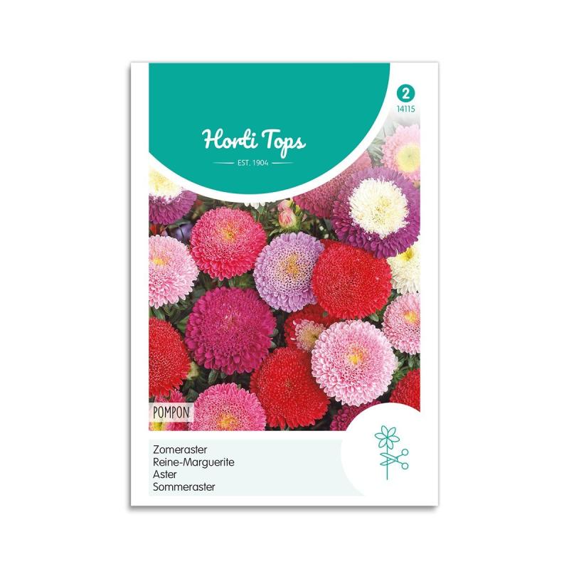 Asters Frø  Quot Pompon Mix Quot  Horti Tops