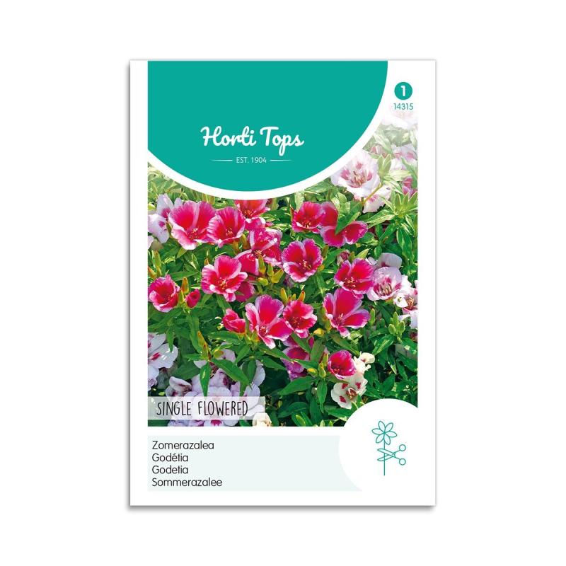 Atlaskblomst Frø Horti Tops