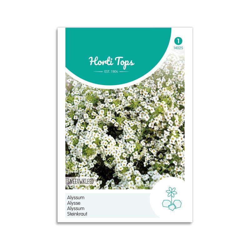 Biblomme Frø "Snowcloth" - Horti Tops på tilbud!