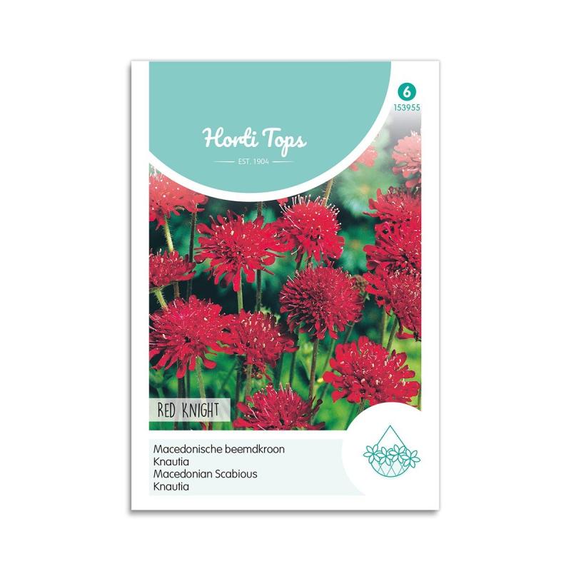 Blåhat Frø "Red Knight" - Horti Tops til Insektvenlig Have
