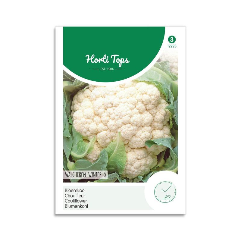 Blomkål Frø  Quot Walcheren Winter   Quot  Horti Tops