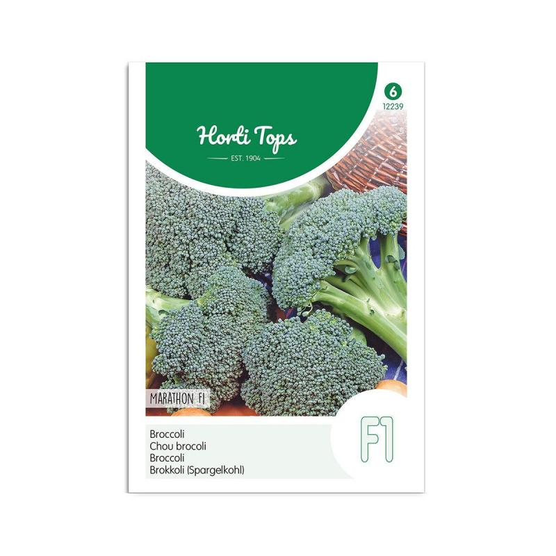 Broccoli Frø  Quot Marathon F1 Quot  Horti Tops