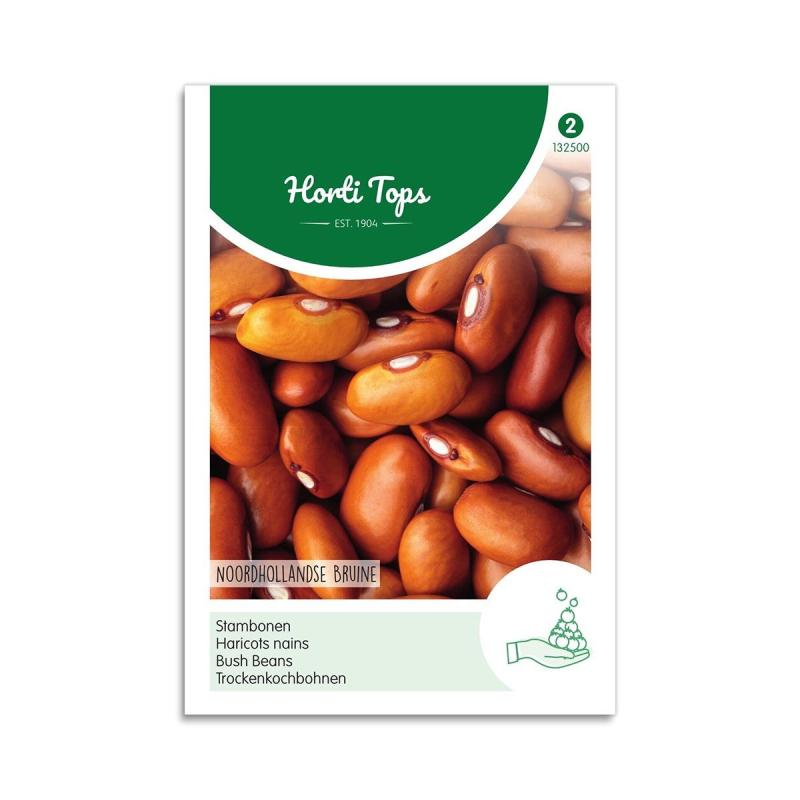 Buskbønnefrø "Brown Dutch" - Horti Tops Tilbud!