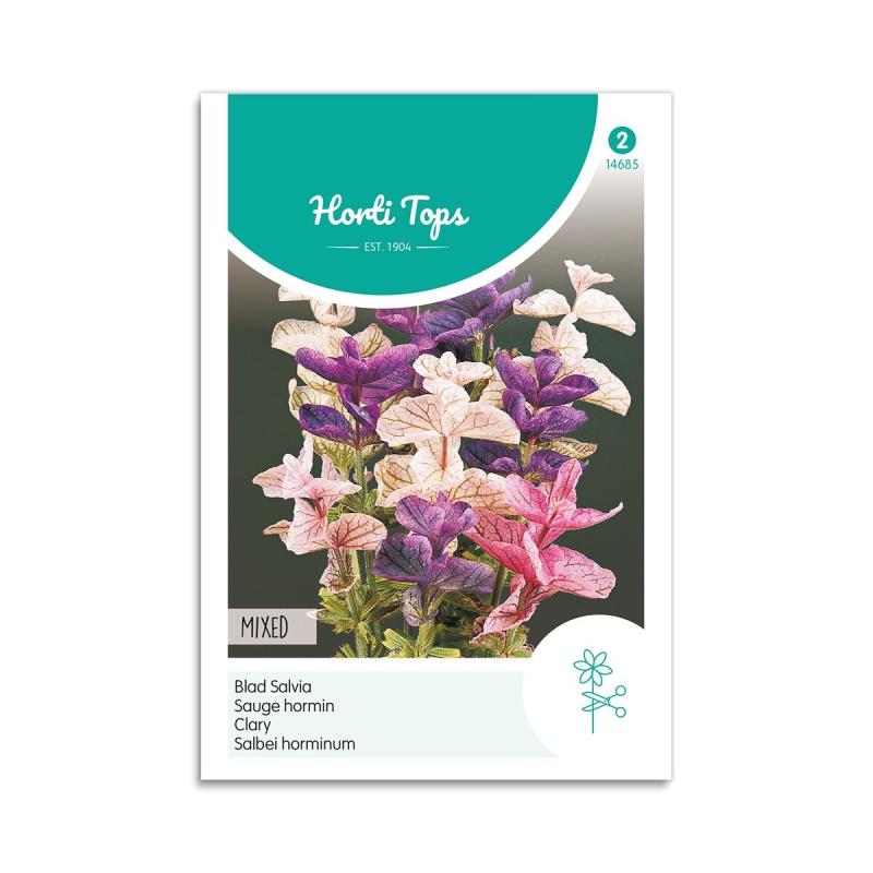 Dusksalvie Frø Mix Horti Tops