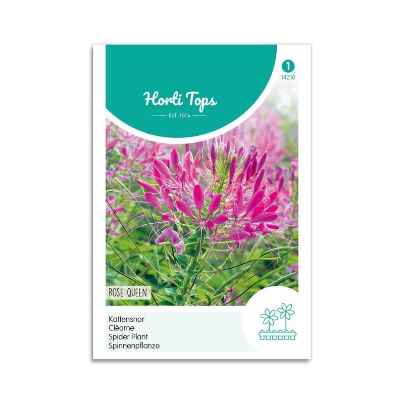 Edderkoppeplante Frø  Quot Rose Queen Quot