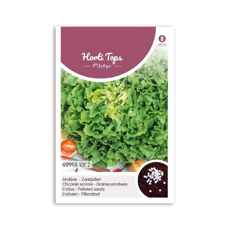 Endivie Såpille Frø Quot Nummer Vijf Quot Horti Tops