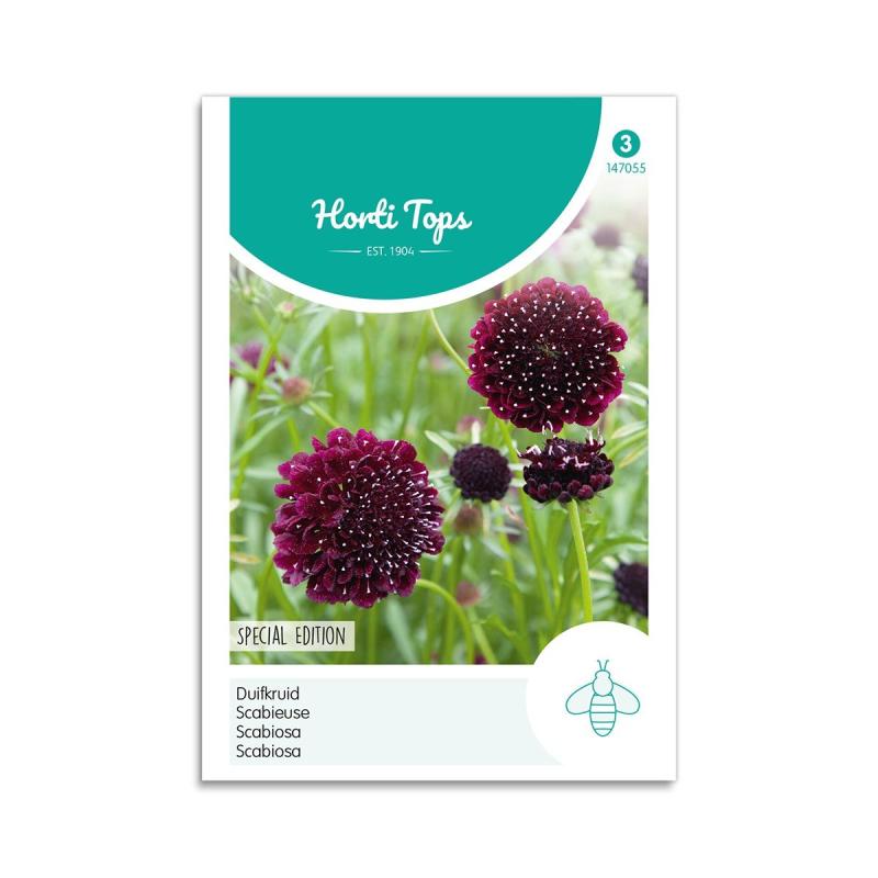 Enkeblomst Frø Quot Deep Purple Quot Horti Tops