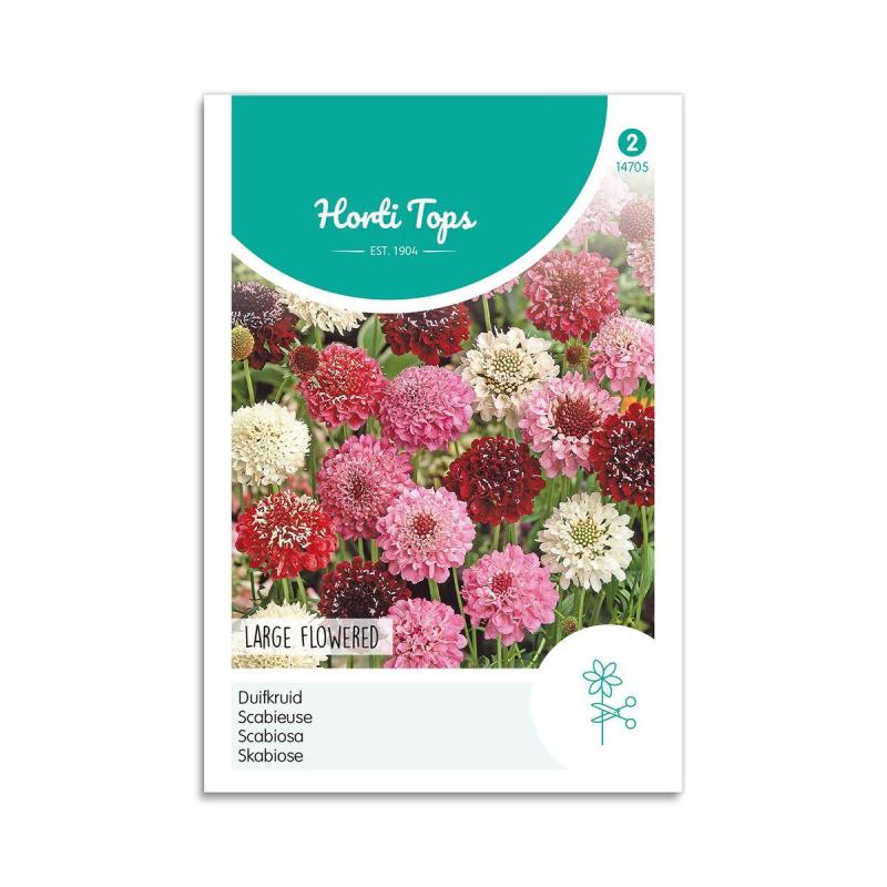 Enkeblomst Frø  Quot Large Flowered Quot  Horti Tops