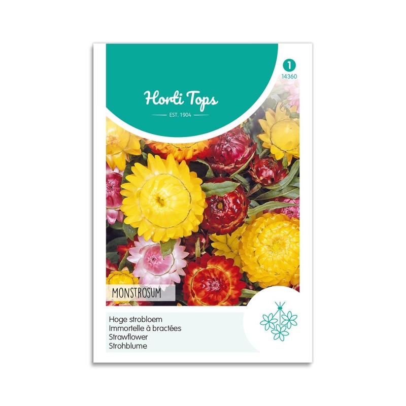 Evighedsblomst Frø  Quot Monstrosum Quot  Horti Tops