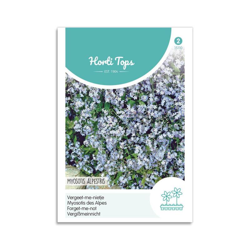 Forglemmigej Frø  Quot Royal Indigo Blue Quot  Horti Tops