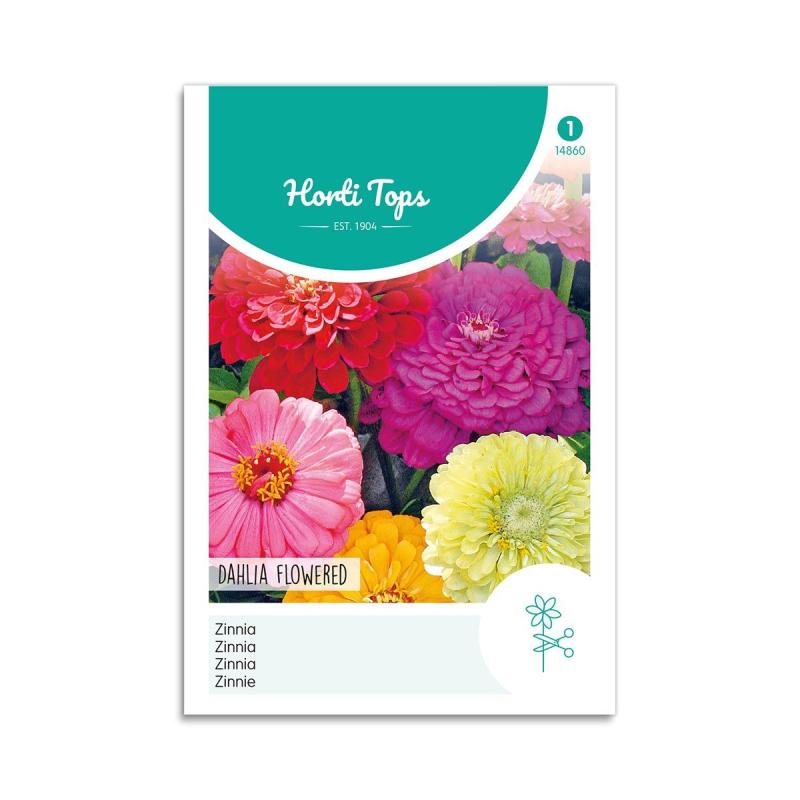 Frøkenhat Frø Quot Dahlia Flowered Quot Horti Tops