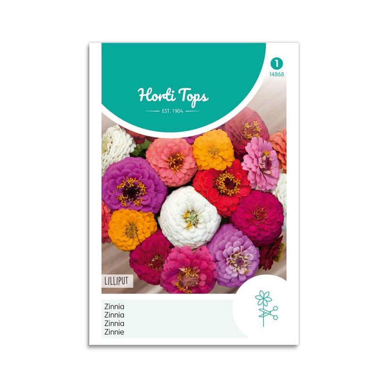 Frøkenhat Frø "Lilliput" - Fantastiske Blomster til Dekoration