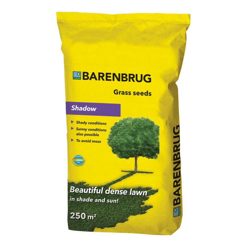 Græsfrø Barenbrug Shadow Skyggegræs