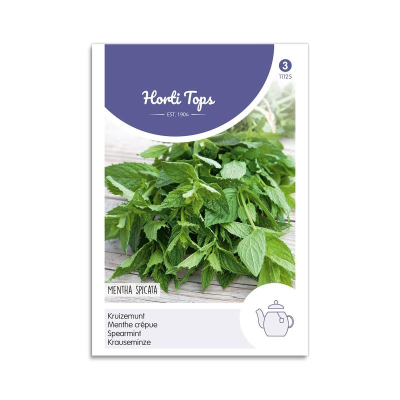 Grøn Mynte Frø "Spearmint" - Aromatisk Krydderurt