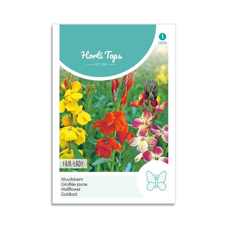 Gyldenlak Frø  Quot Fair Lady Quot  Horti Tops