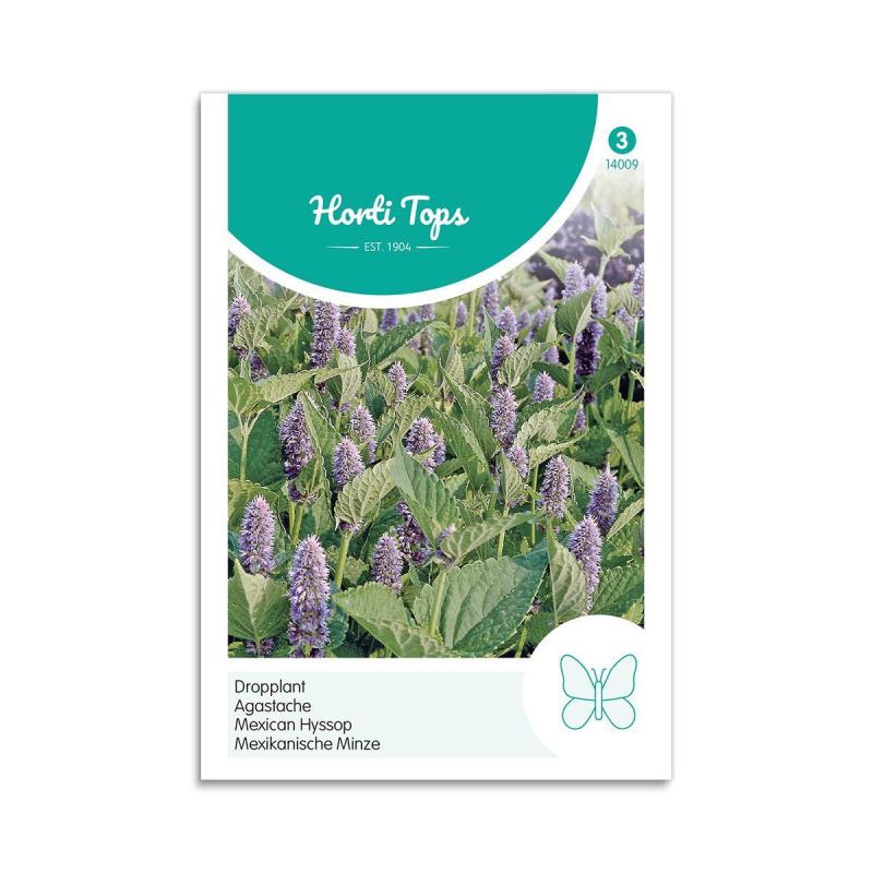 Indianermynte Frø Horti Tops