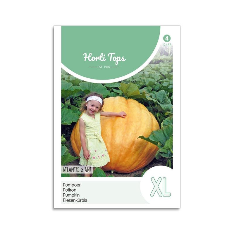 Kæmpegræskar Frø Quot Atlantic Giant Quot Horti Tops