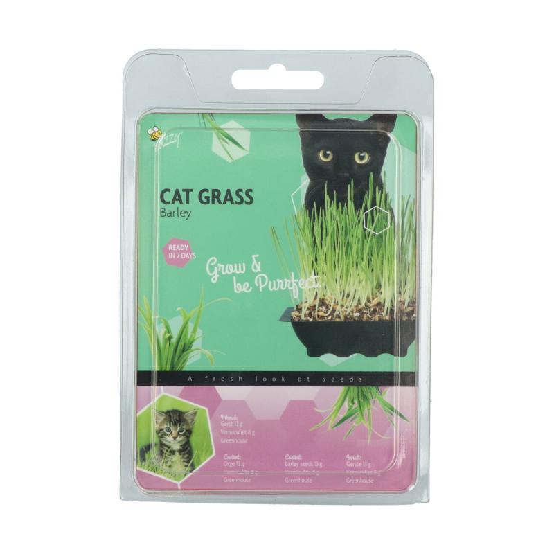 Kattegræs Dyrk-selv Kit