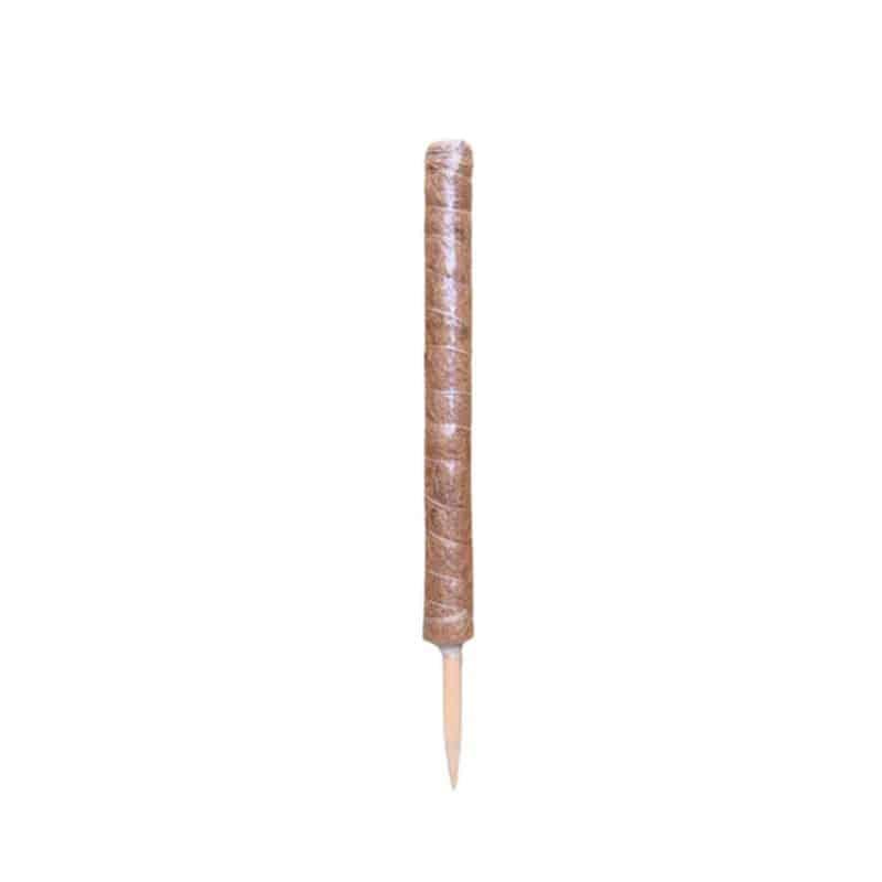 Kokos Plantestøtte 90 cm - Perfekt til have og drivhus