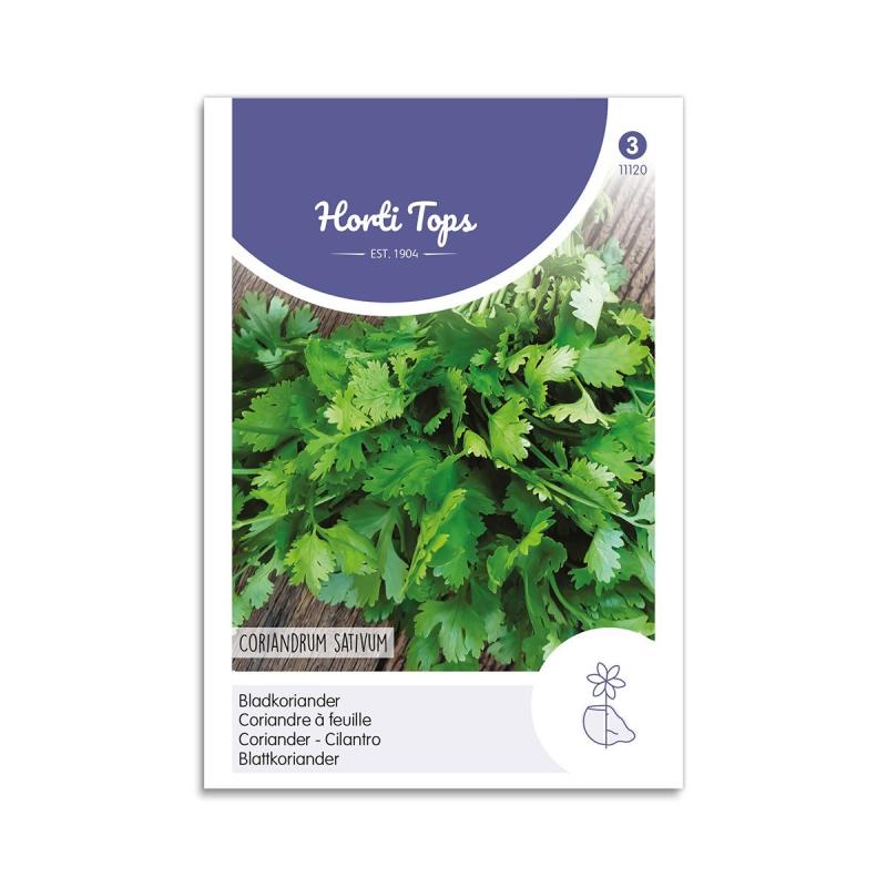 Koriander Frø Quot Cilantro Quot Horti Tops