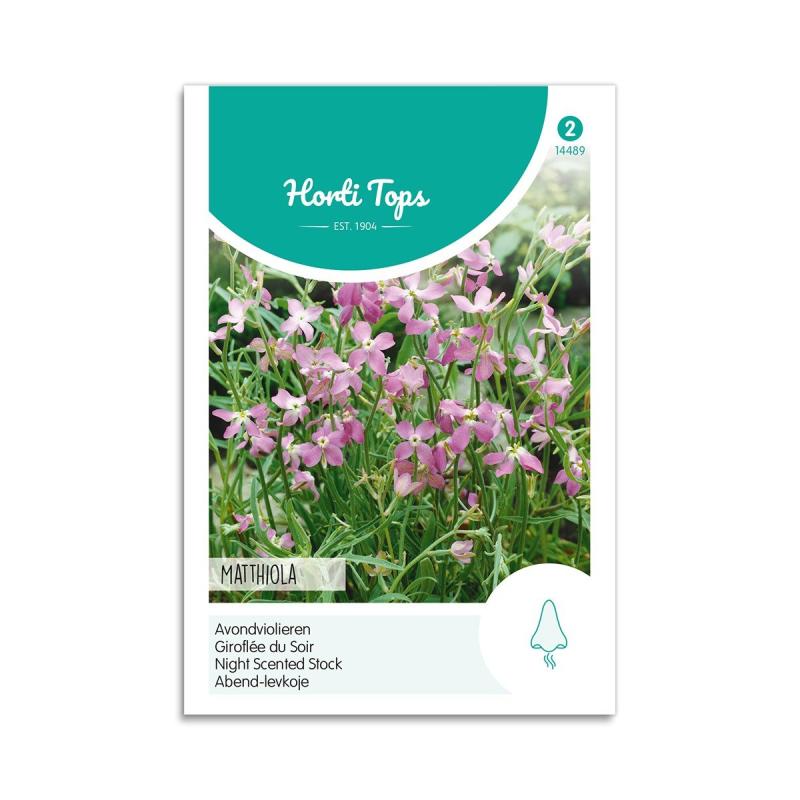 Levkøj Frø "Matthiola Pink" - Skønne Blomster til Buketter