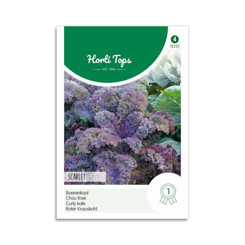 Lilla Grønkål Frø  Quot Scarlet Quot  Horti Tops