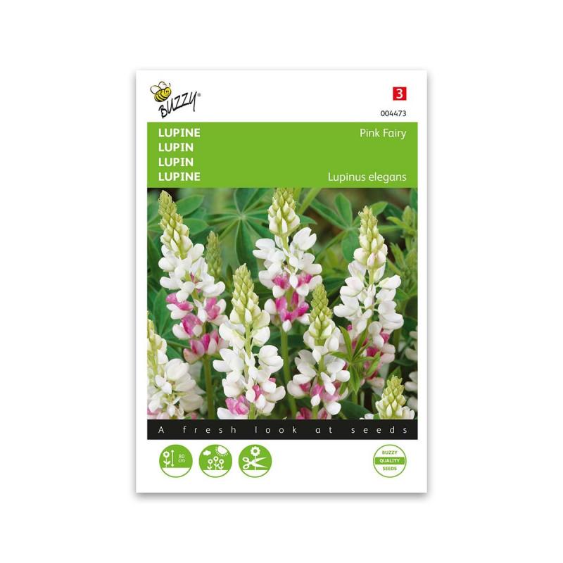 Lupin Frø  Quot Pink Fairy Quot  Buzzy
