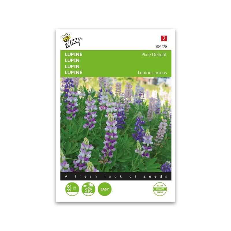 Lupin Frø  Quot Pixie Delight Mix Quot  Buzzy