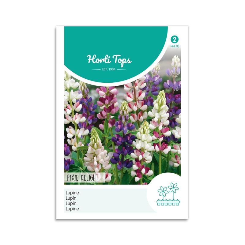 Lupin Frø Quot Pixie Delight Quot Horti Tops