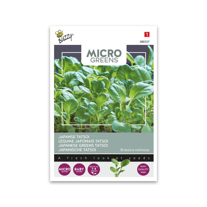 Mikrogrønt Tatsoi Frø