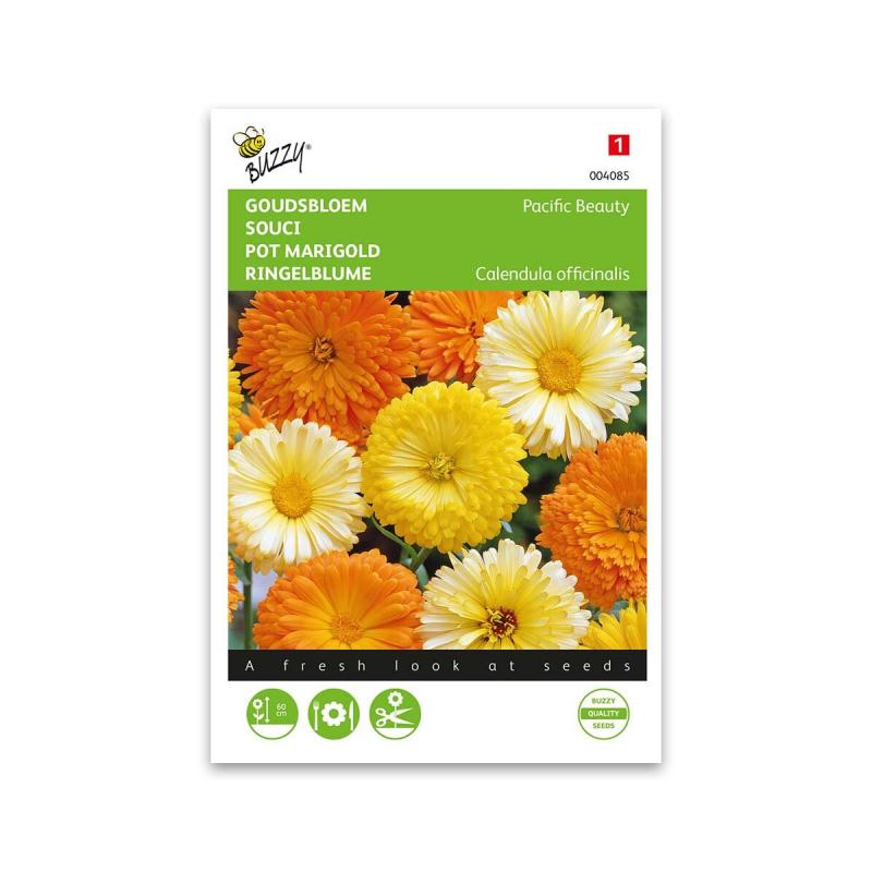 Morgenfrue Frø Mix  Quot Pacific Beauty Double Mixed Quot  Buzzy
