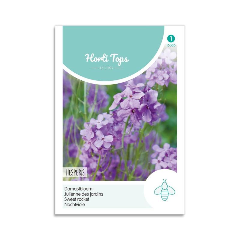 Natviol Frø Quot Hesperis Quot Horti Tops